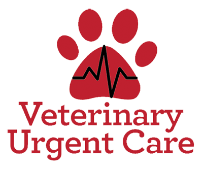 Airport @ Snow Veterinary Urgent Care