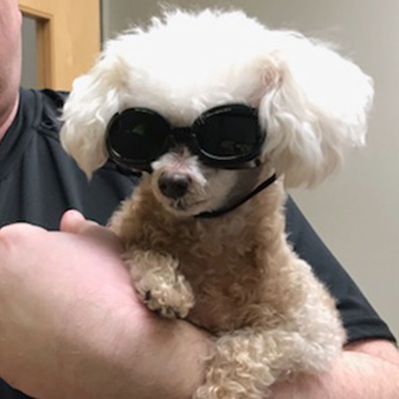 Laser Therapy