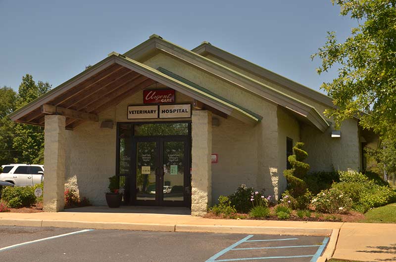 Airport @ Snow Veterinary Urgent Care