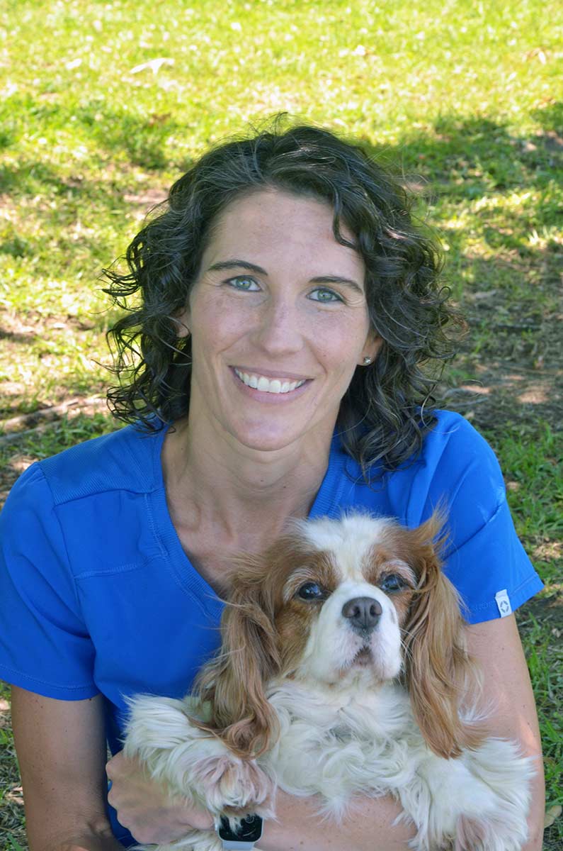 One of our staff with an older dog